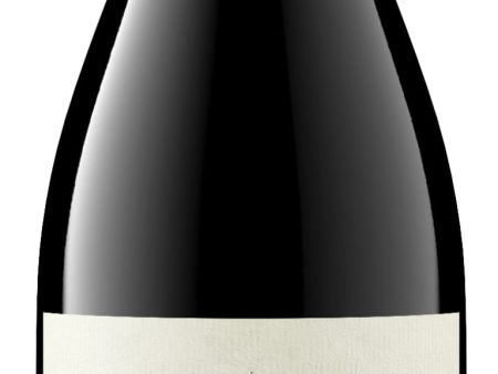 Dumol 20 Pinot Noir Wester Reach For Cheap