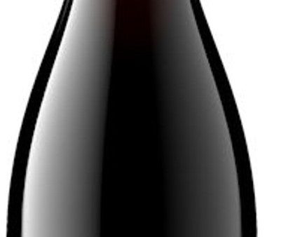 WEATHER PINOT NOIR SONOMA COAST 2018 on Sale