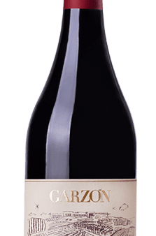 GARZON PINOT NOIR SINGLE VINEYARD 2018 Online now