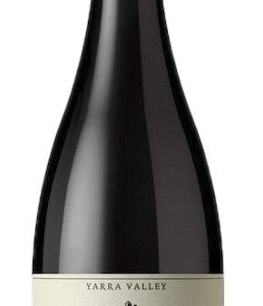 GIANT STEPS PINOT NOIR PRIMAVERA 2020 Online now